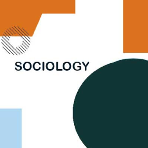 Online writing assignment help in Sociology class