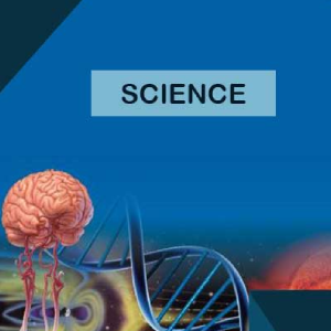 Online writing assignment help in science class