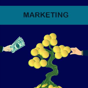 Marketing writing assignment help online