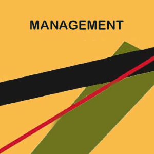 Management writing assignment help online
