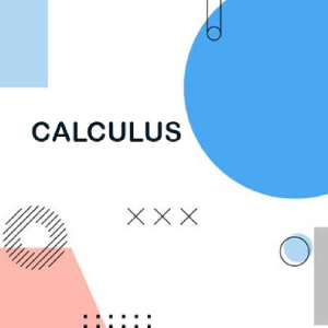 Calculus exam help online