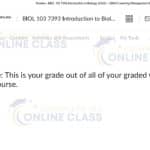 Hire Someone To Do My Online Biology Essay For Me