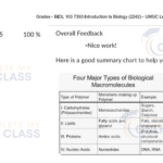 Hire someone to do online biology class for me